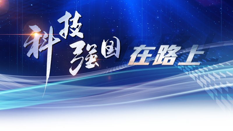 数据按需定制平台：揭秘其排名背后的逻辑